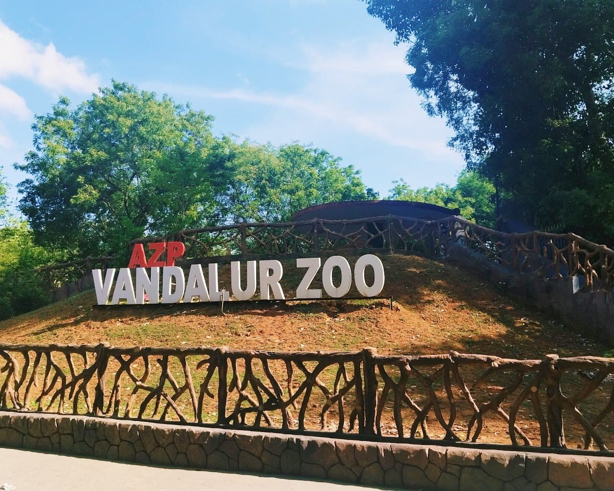 Arignar Anna Zoological Park, Vandalur