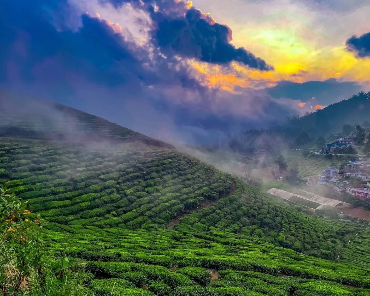 Ketti Valley View Point