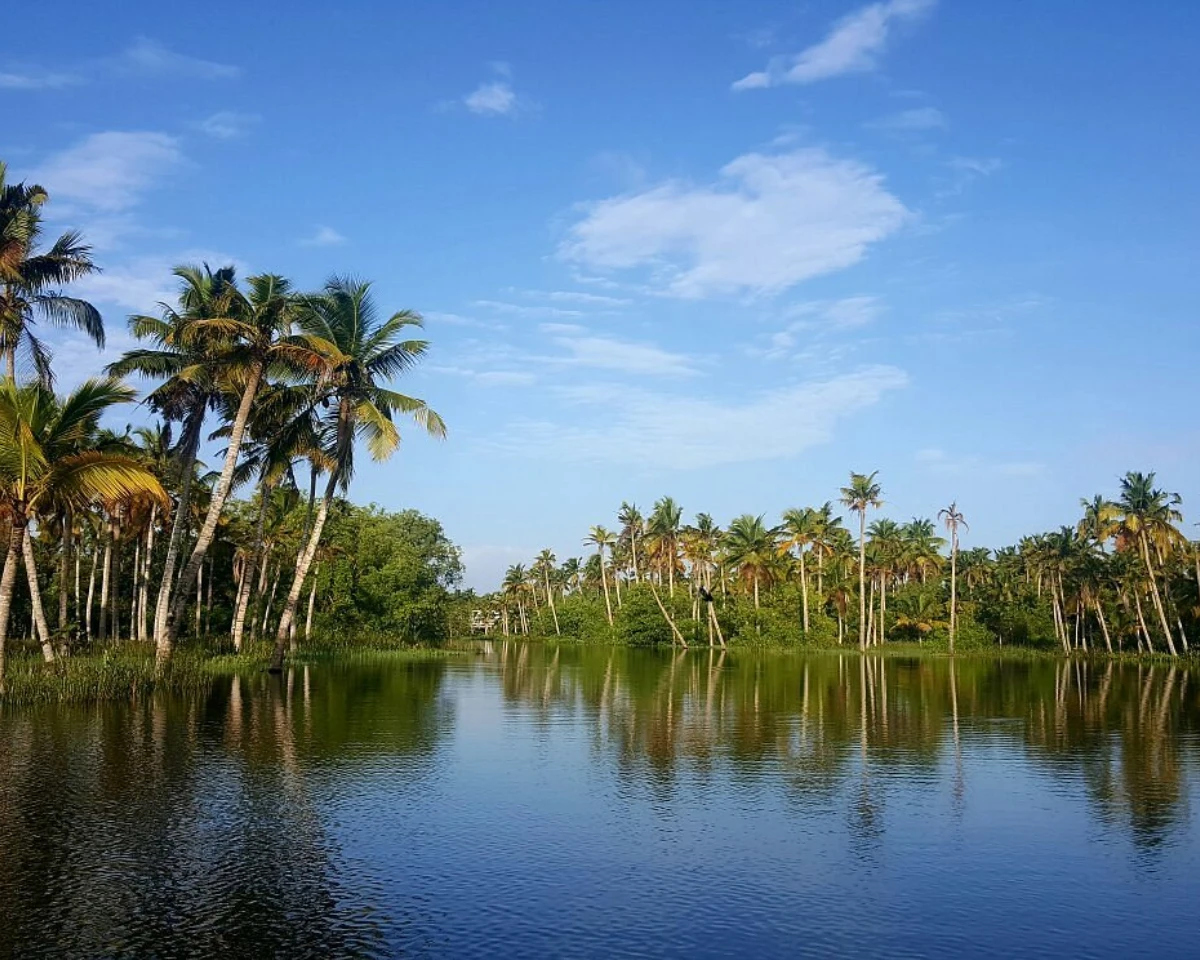 Poovar Backwaters