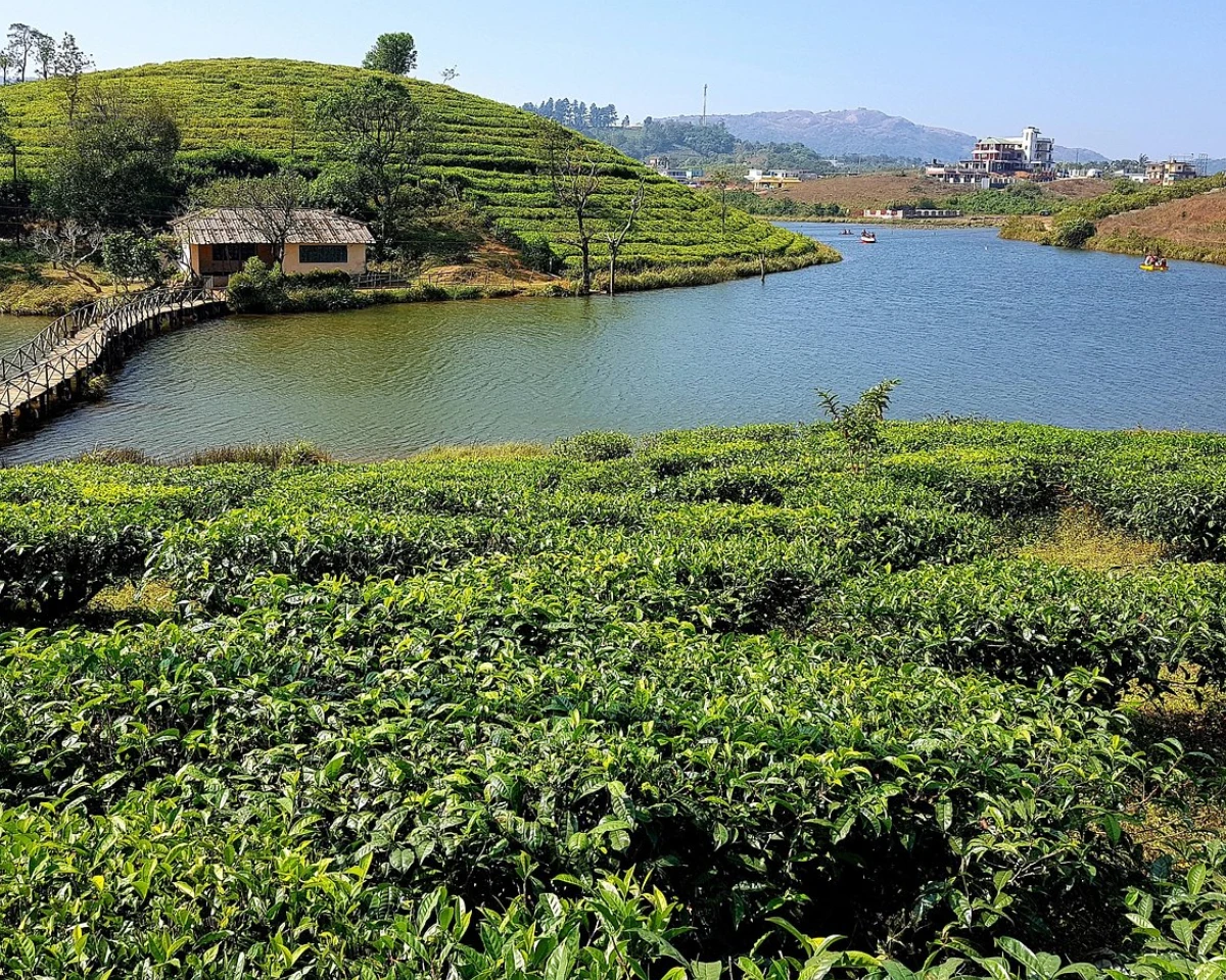 Vagamon Lake