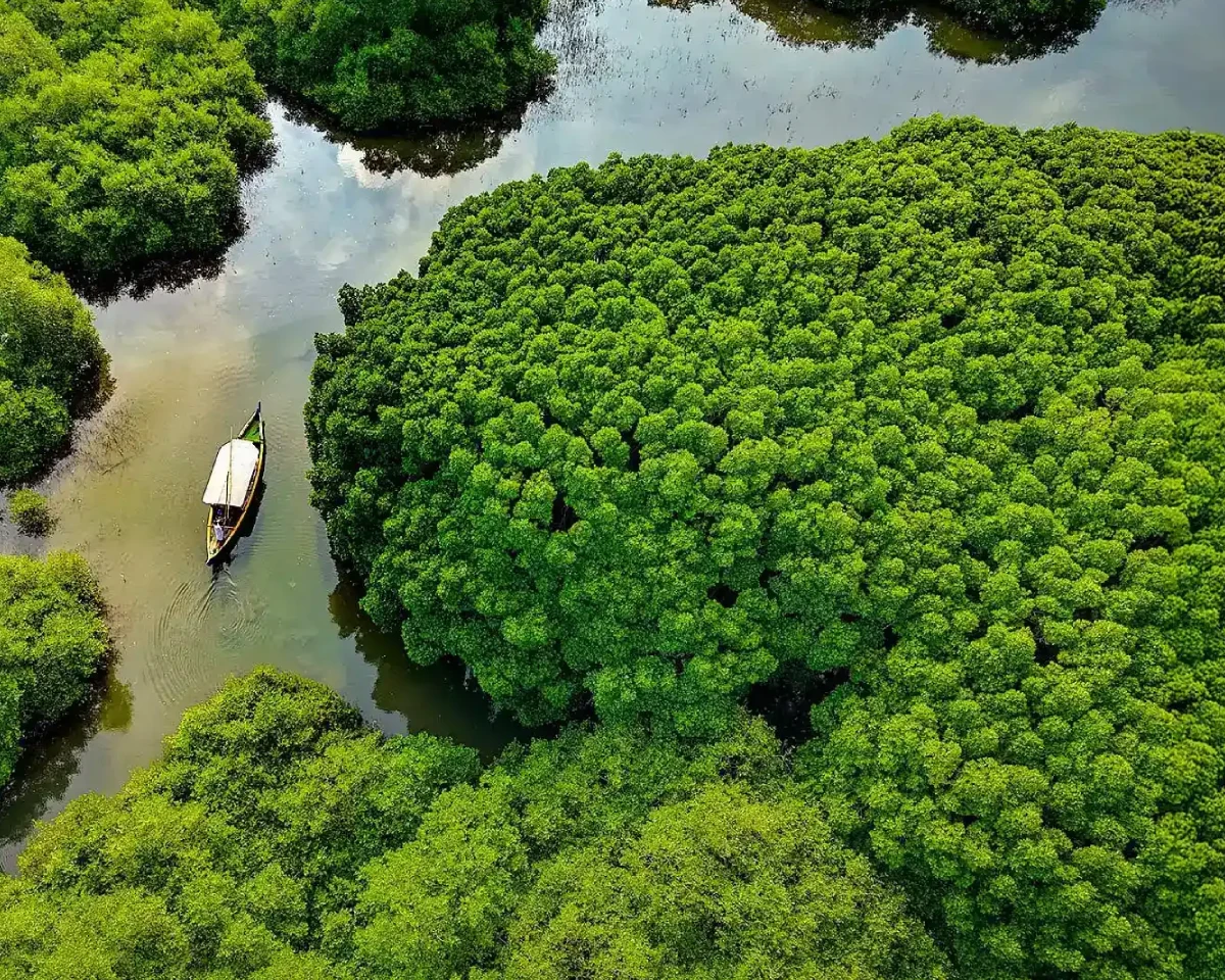 Mangalavanam Bird Sanctuary