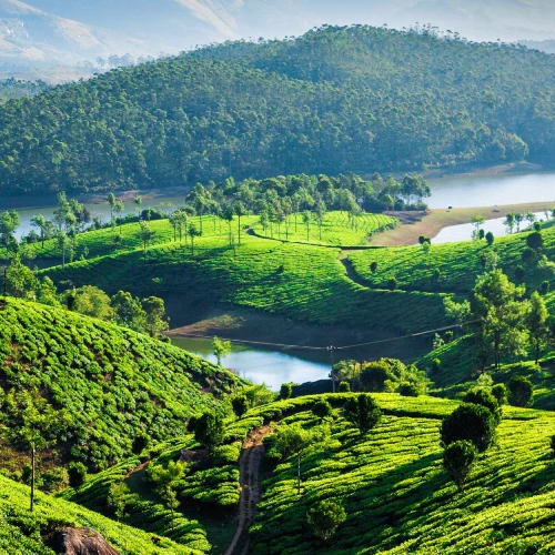 Munnar